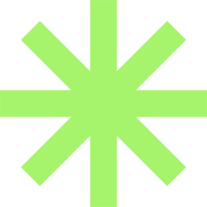 star Asset 4